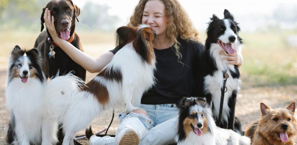 A picture of a woman having fun with dogs