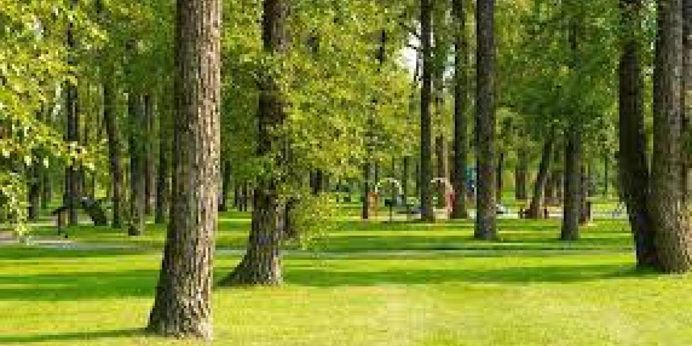 parks