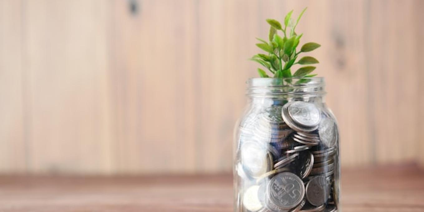 A plant growing from a jar filled with coins on a wooden surface.