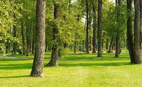 parks